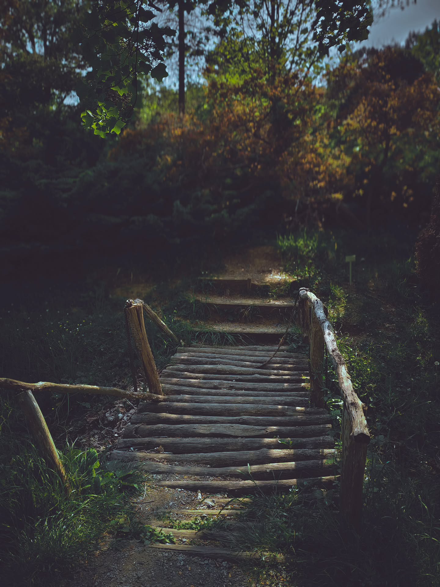 Untitled I · Nature photograph